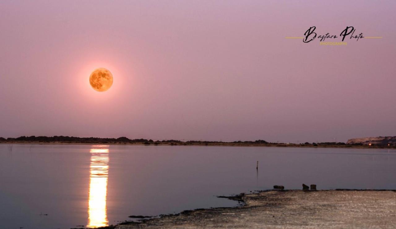 Studio Nefs Des Sables Leucate Esterno foto